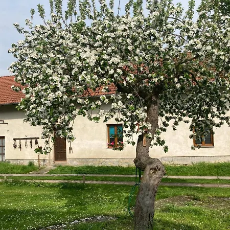 Holiday home Prijemny Se Zahradou