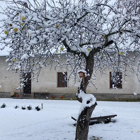 Prijemny Se Zahradou